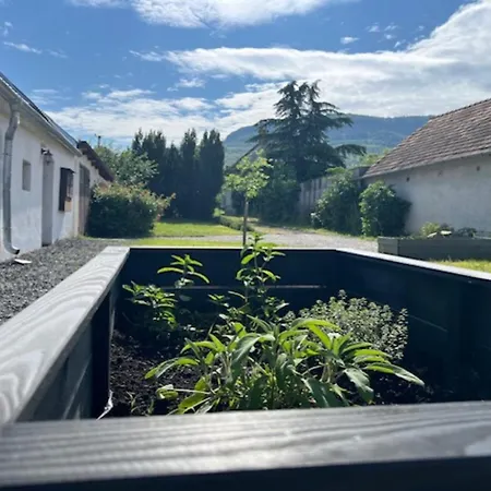 Badacsony Terrace & Garden - Happy